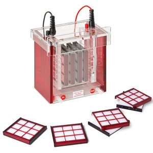 Electrophoresis Chamber